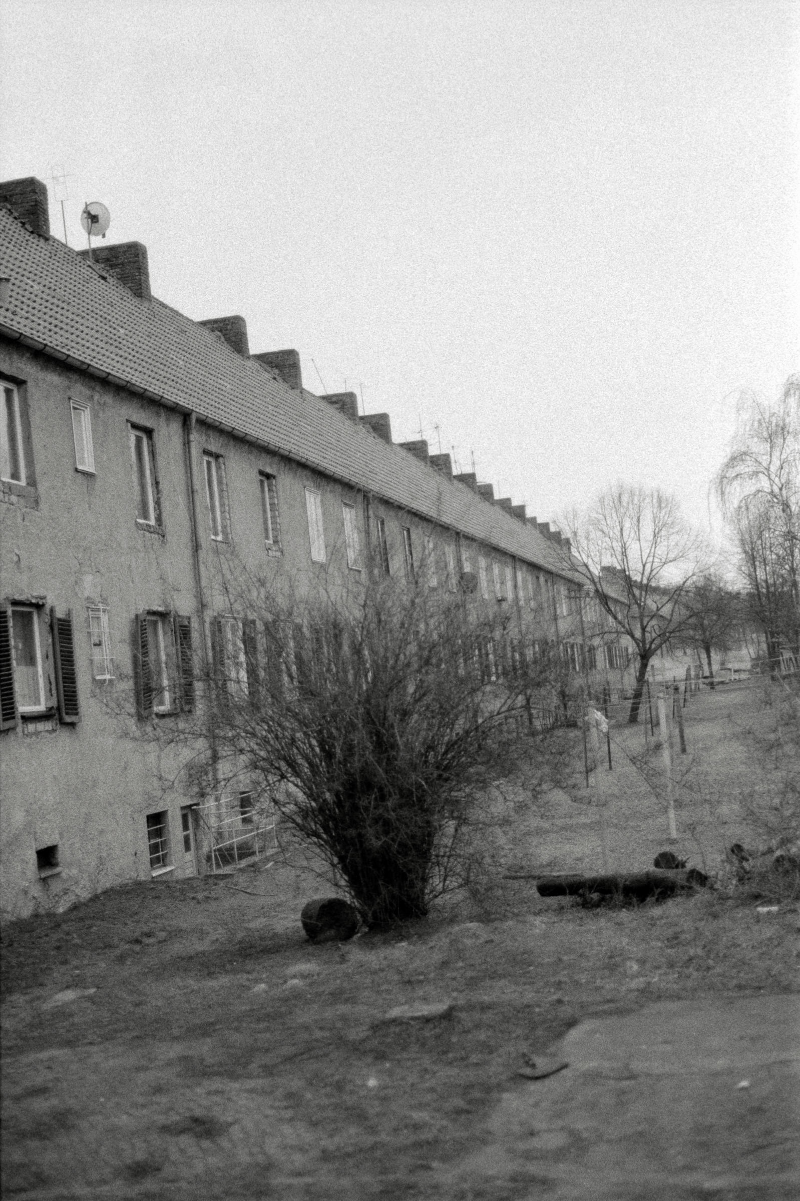 AHP F1993 03 007 sc240902 img02 NLP